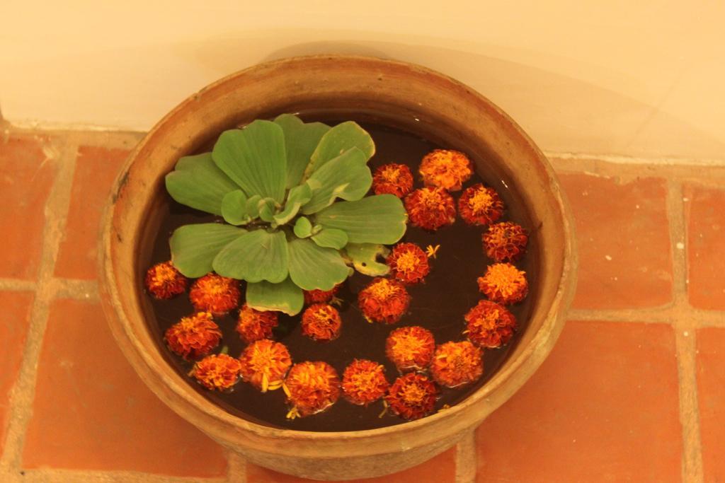 The Life Story Guest House Lalitpur Exterior foto